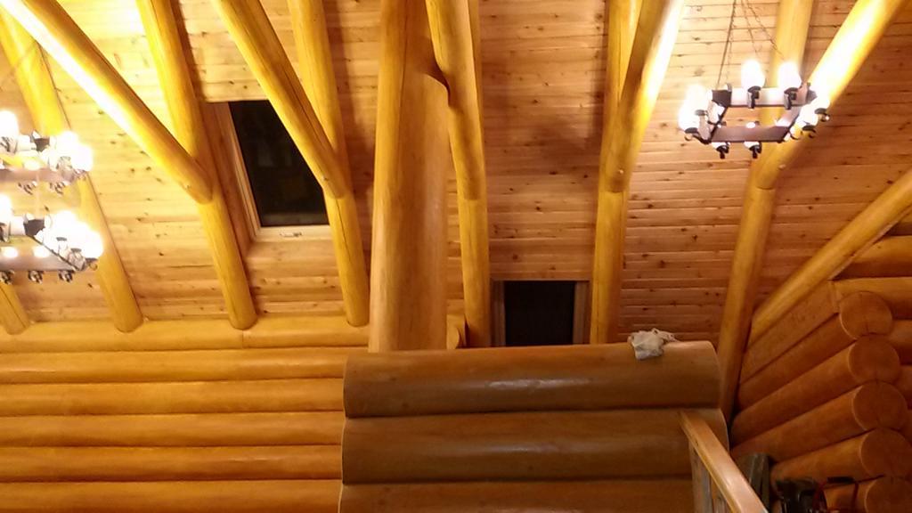 Pensiunea Izbucul Tauz Ghetari Exteriér fotografie