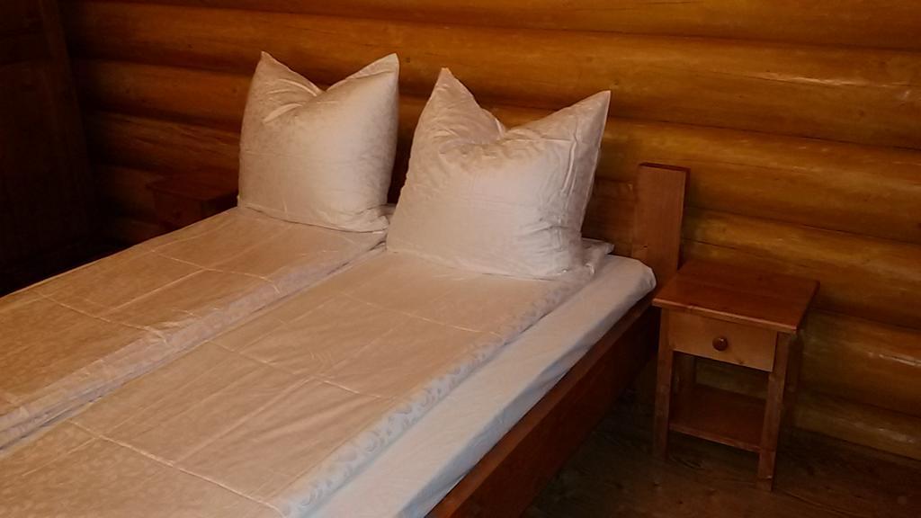 Pensiunea Izbucul Tauz Ghetari Exteriér fotografie