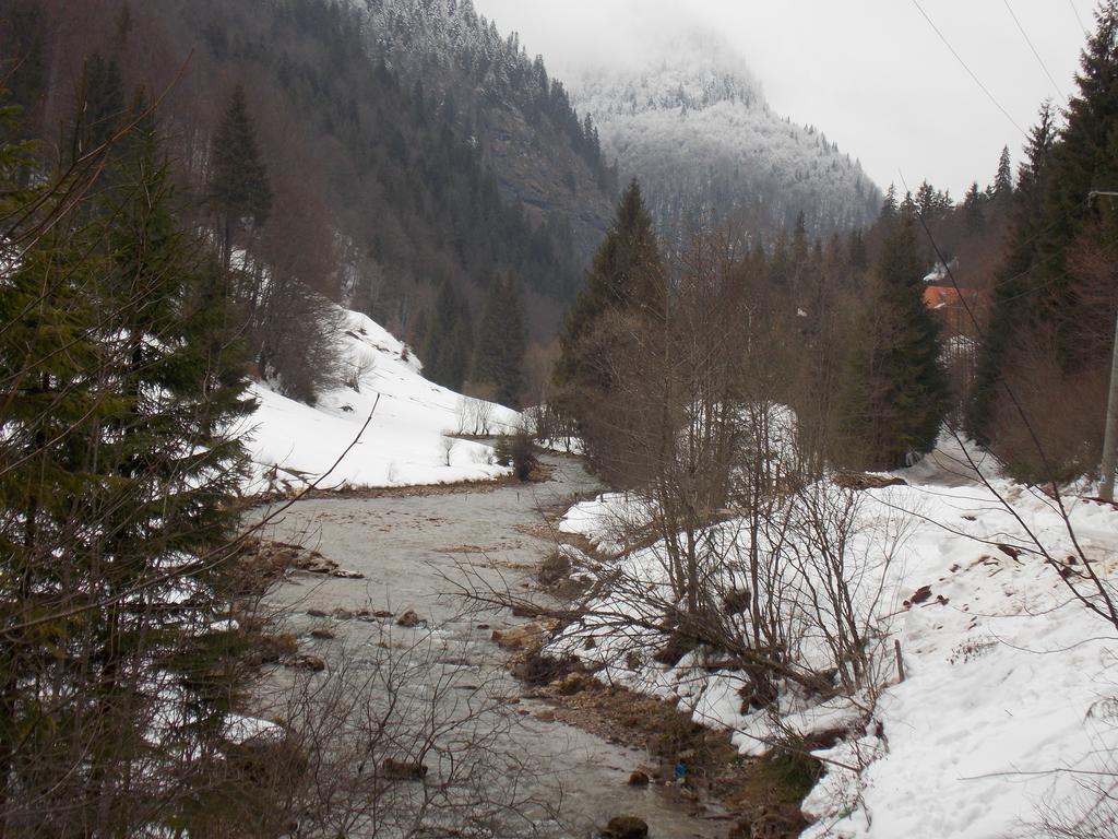 Pensiunea Izbucul Tauz Ghetari Exteriér fotografie