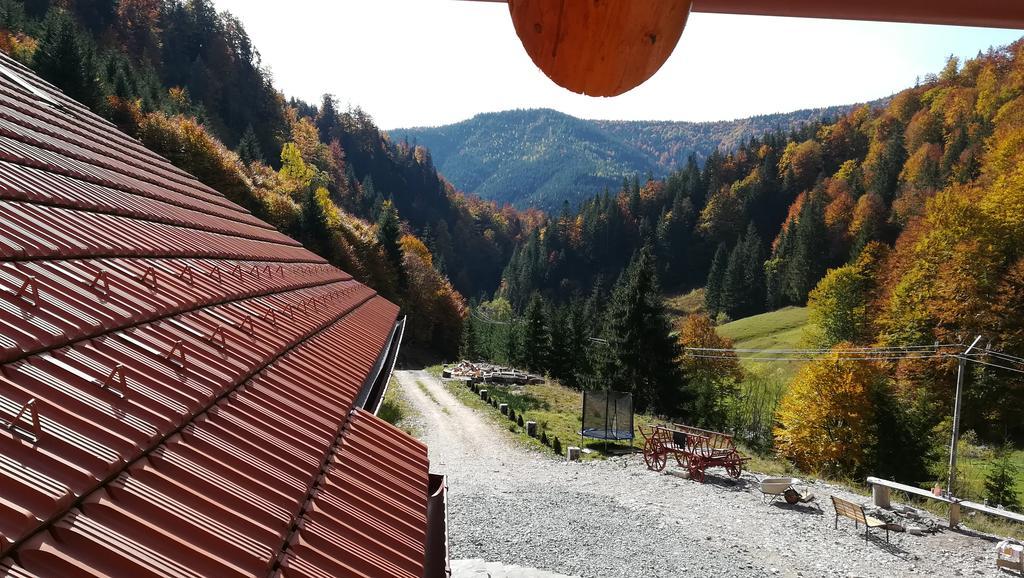 Pensiunea Izbucul Tauz Ghetari Exteriér fotografie