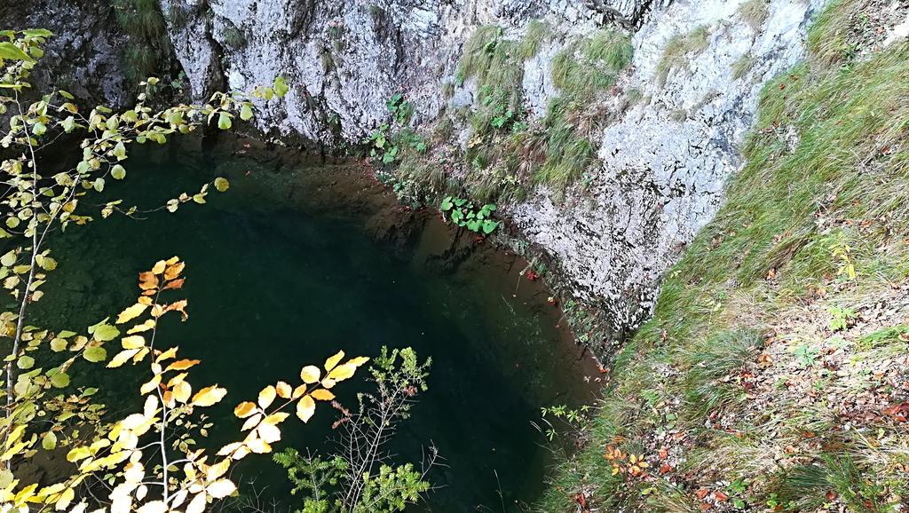 Pensiunea Izbucul Tauz Ghetari Exteriér fotografie